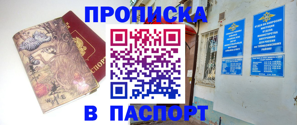 пропишу в квартире в Малой Вишере